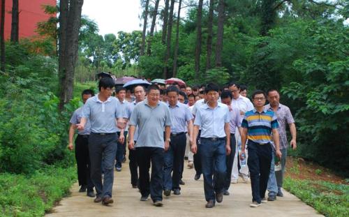 湖北林业产业促进会成立